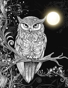 owl coloring page made with midjourney